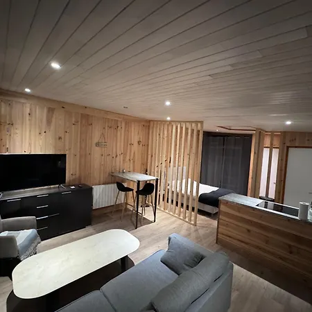 Studio De 35m2 En Plein Centre Apartment *