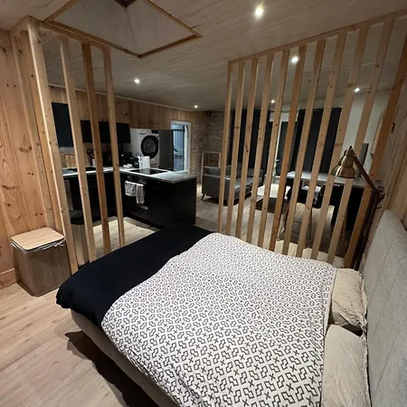 Studio De 35m2 En Plein Centre